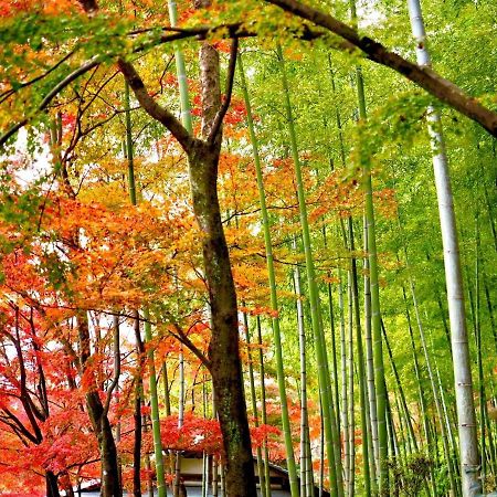 Апартаменты Kyoto Yadomachi Nishijin Экстерьер фото